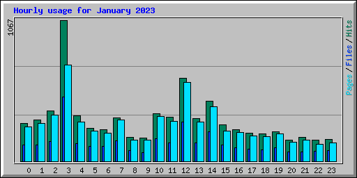 Hourly usage for January 2023